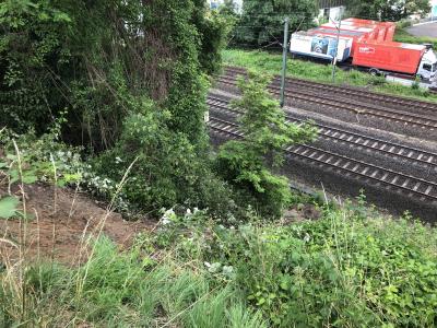 Esslingen-Oberesslingen: Erdrutsch sorgt fuer Sperrung der Landsstrasse